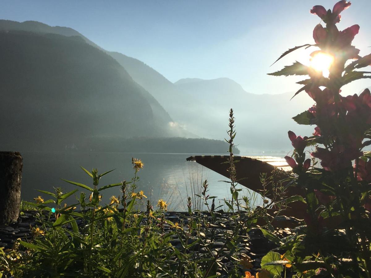 Glueck Am See - Apartment Mit Seezugang Hallstatt Luaran gambar